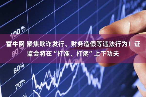 富牛网 聚焦欺诈发行、财务造假等违法行为！证监会将在“打准、打疼”上下功夫
