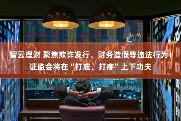 智云理财 聚焦欺诈发行、财务造假等违法行为！证监会将在“打准、打疼”上下功夫
