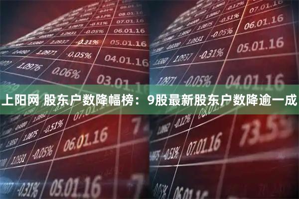 上阳网 股东户数降幅榜：9股最新股东户数降逾一成