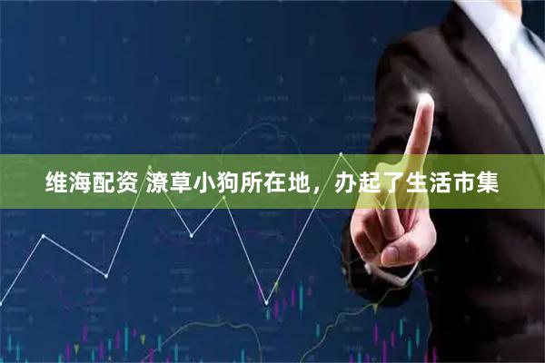 维海配资 潦草小狗所在地，办起了生活市集